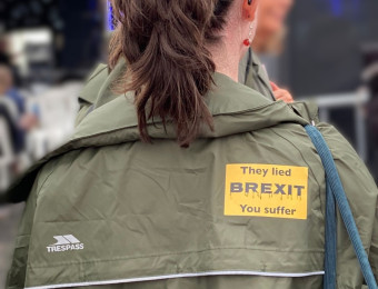 festival-goers_blurred