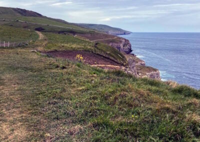 Dorset Cliff Path Walk