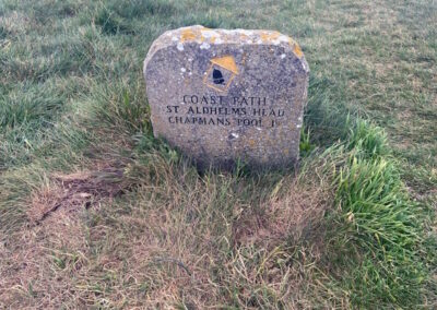 Walk to St Aldhelms Head